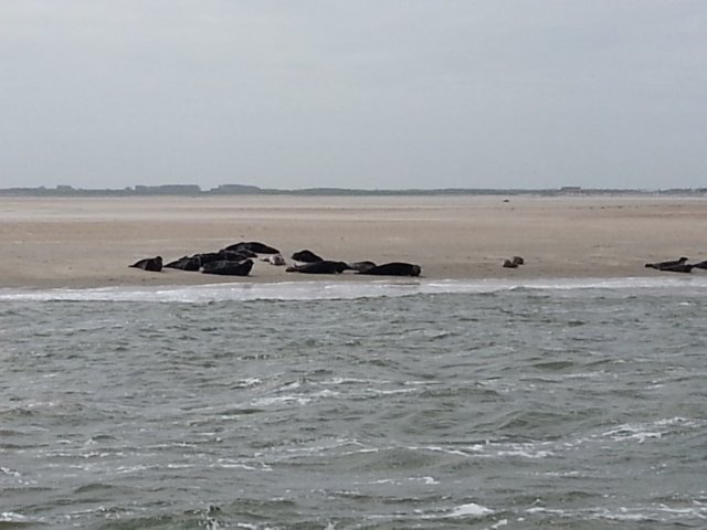 HWK Texel 120.jpg